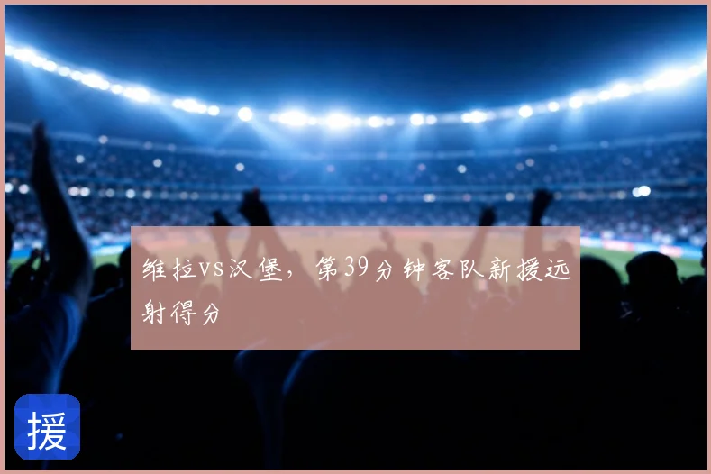 维拉vs汉堡，第39分钟客队新援远射得分